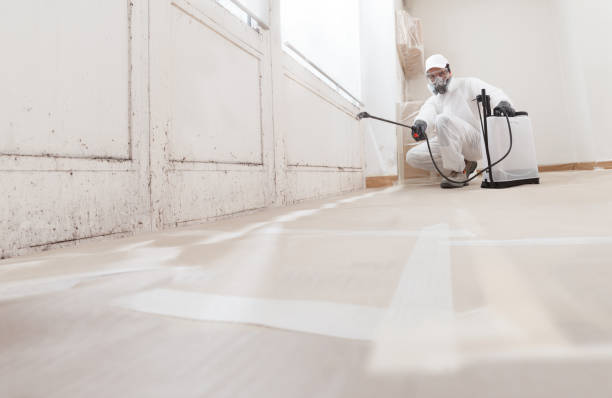 24/7 Emergency Attic Mold Remediation experts in Salem, IL